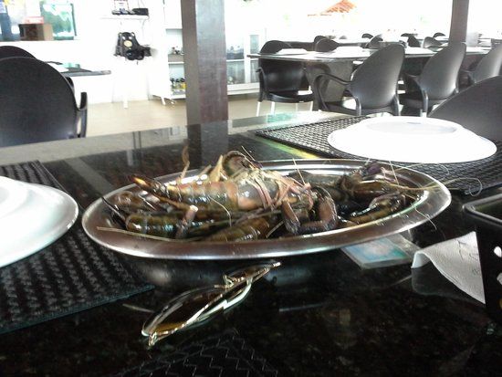 Restaurante Frutas do Mar